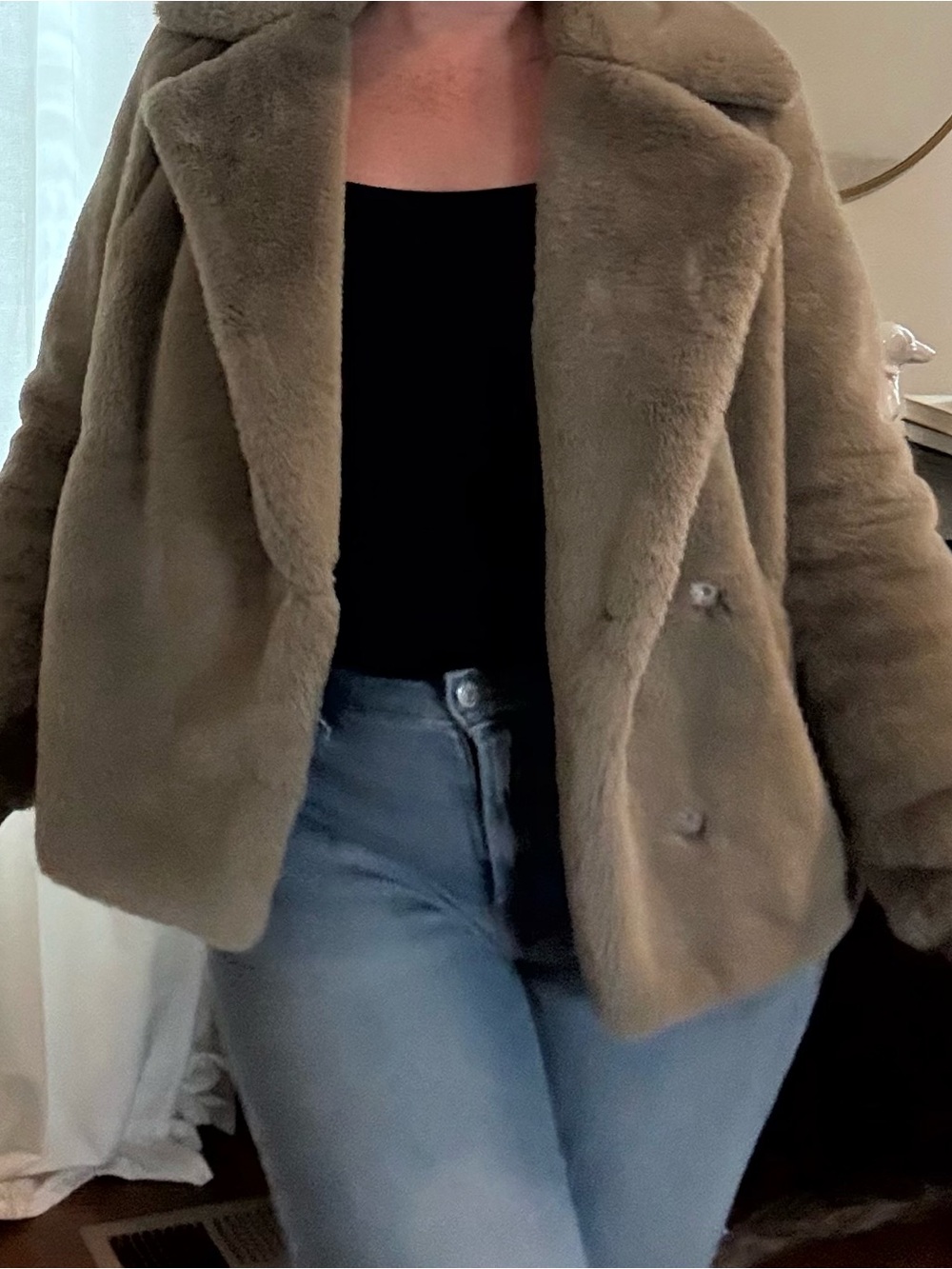 Express Faux Fur Teddy Jacket